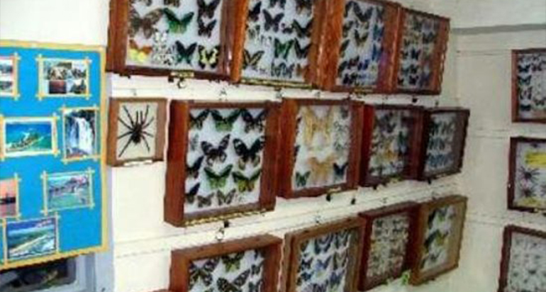 Butterfly Research Center Bhimtal